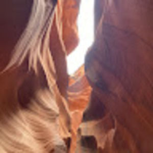 Meet your Posher, Trevor